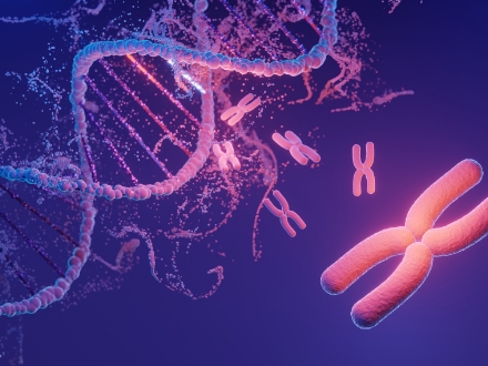 實(shí)驗(yàn)室技術(shù)服務(wù)